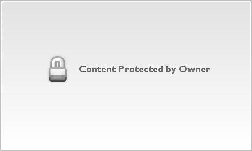 Kelsey L Wire ( Madelyn Wire-Bears, Merrick Wire-Cheetahs, MaxxonWire-Llamas)