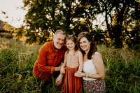 McGreevy Family