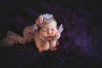 Hailey Watt Newborn Collection
