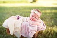 Ali Laska Newborn Portraits